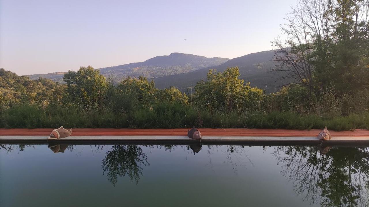 Podere Di Maggio - Glamping Tent 3 Santa Fiora Exterior foto